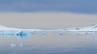 Türkisfarbene Eisberge treiben im Meer