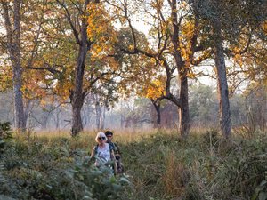 Ein weiblicher Tourist läuft im Morgenlicht durch einen lichten Wald im Bardia Nationalpark