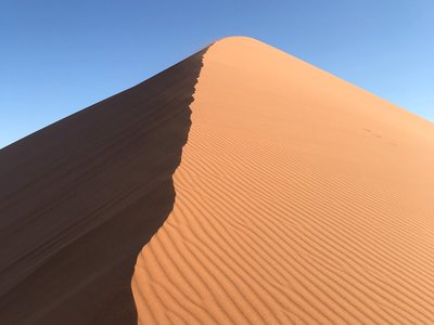 Orangene Sanddüne in der Namib-Wüste