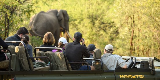 Menschen in einem Jeep beobachten einen Elefanten