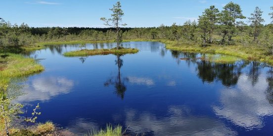Dunkelblauer Moorsee in Estland