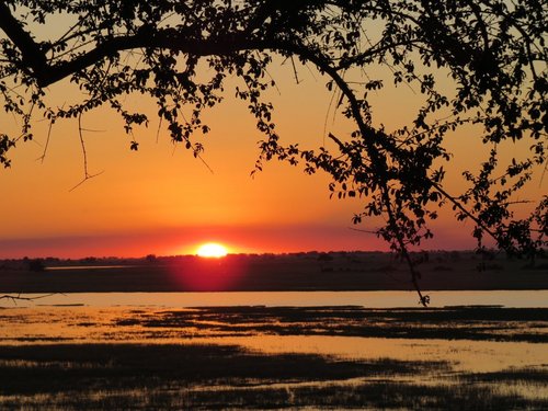 Knallroter Sonnenuntergang am Chobe River