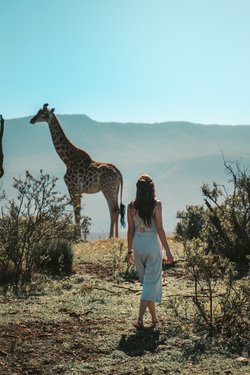 Frau auf Walkinsafari beobachtet eine Giraffe