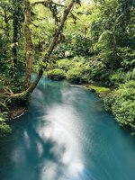 Türkisblauer Fluss im Regenwald Costa Ricas