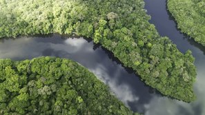 Mäandrierender Fluss im Dschungel von oben mit der Drohne aufgenommen