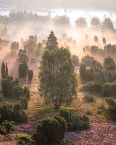 Fotoreisen mit Johannes Kowalewski