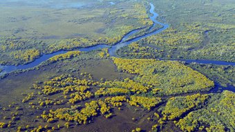 Feutchgebiete im Pantanal von oben
