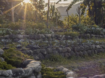 Permakulturgarten der La Tigra Rainforest Lodge im Sonnenuntergang