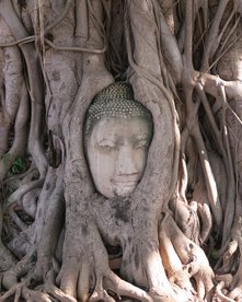 2 Wochen Thailand Rundreise