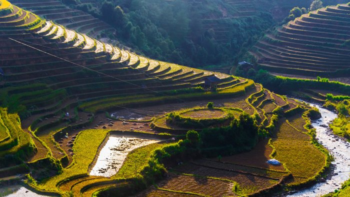 reisterassen sapa mit wasser gefüllt