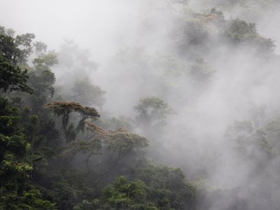 Wlken im regenwald - Costa Rica Sehenswürdigkeiten