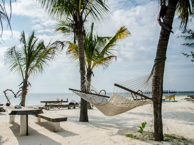 Hängematten zwischen Palmen an weißem Strand - Tansania Highlights