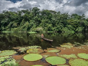 Fischer auf einem Fluss im Amazonas und riesige Seerosenblätter
