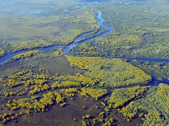 Feutchgebiete im Pantanal von oben
