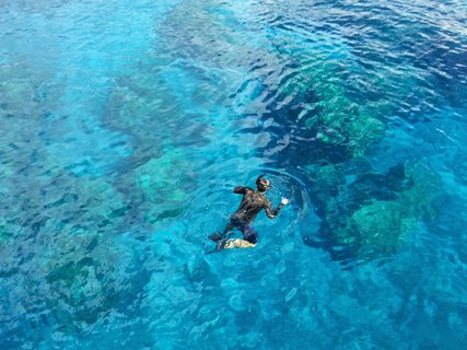 Isla Contadora - Panama Schnorcheln