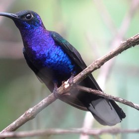 Costa Rica Bewertung Reise