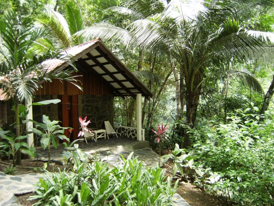 Belize Unterkunft - Hütte ugeben von vielen Pflanzen in den tropen