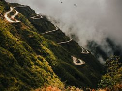 Vögel fliegen über Serpentinenstraße