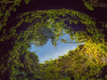 Cave in an extinct volcano - Azoren Inselhopping