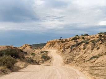 baja california landschaft