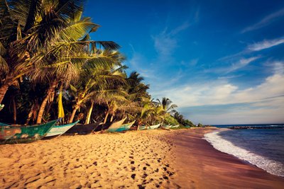 beste reisezeit sri lanka strand