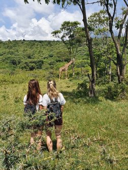 Zwei Menschen schauen auf eine Giraffe
