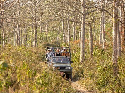 Nepal Gruppenreise - Jeep-Safari im Nationalpark