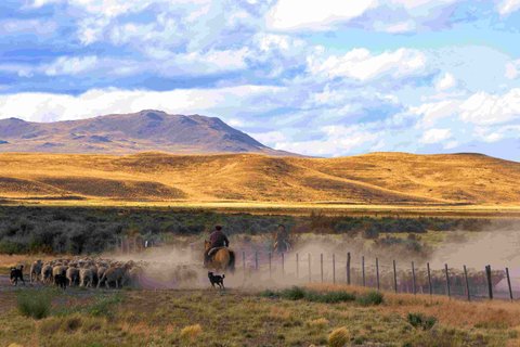 Argentinien Rundreise 3 Wochen