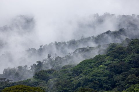 Costa Rica Rundreise 14 Tage - nebelverhangene Wälder