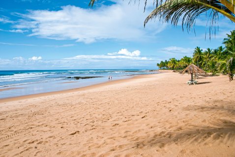 Brasilien Rundreise 2 Wochen - Strand mit Palmen