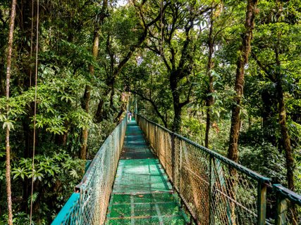 Costa Rica Privatreise Hängebrücken