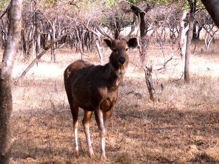 Südindien Rundreise