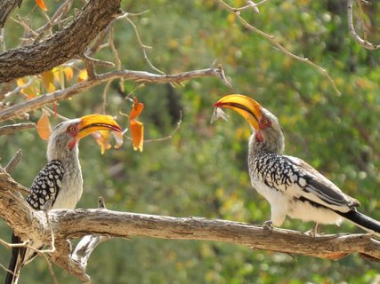 Namibia 2 Wochen Rundreise