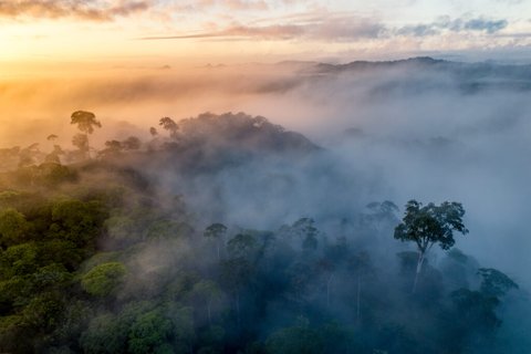 Costa Rica Nebelschwaden