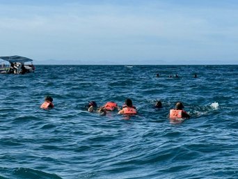 Menschen schnorcheln im Meer