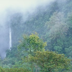 Costa Rica Regenwald im Nebel mit Wasserfall