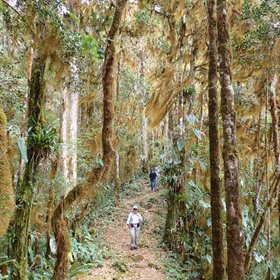 Costa Rica Review Reise
