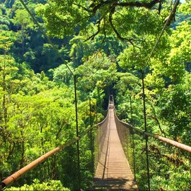 Hängebrücke im Regenwald in der Region Boquete,Panama