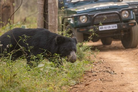 Indien Rundreise 2 Wochen