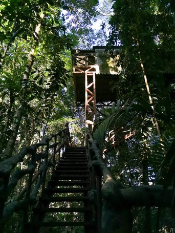 Baumhaus der Mquenque Eco Lodge im Regenwald