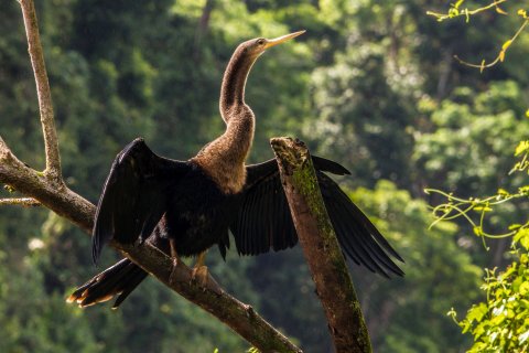 Costa Rica Rundreise 3 Wochen