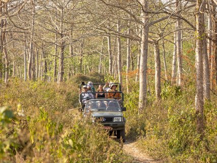 Nepal Gruppenreise - Jeep-Safari im Nationalpark