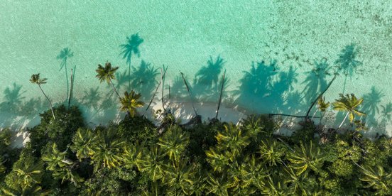 Schatten von Palmen im türkisfarbenen Wasser auf Corn Island