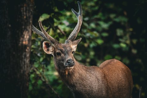 Südindien Rundreise