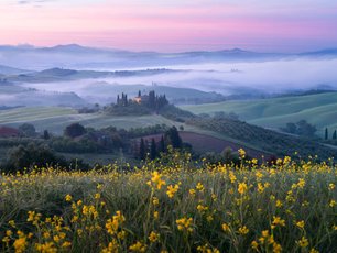 Eine gelbe Blumenwiese vor nebeliger Landschaft bei pinkem Sonnenuntergang
