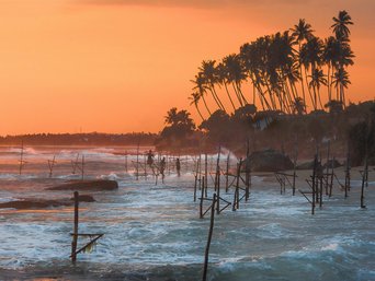 Palmen und Sonnenuntergang am Strand