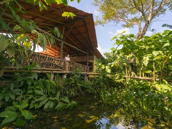 Restaurant der La Tigra Rainforest Lodge und kleiner Froschteich