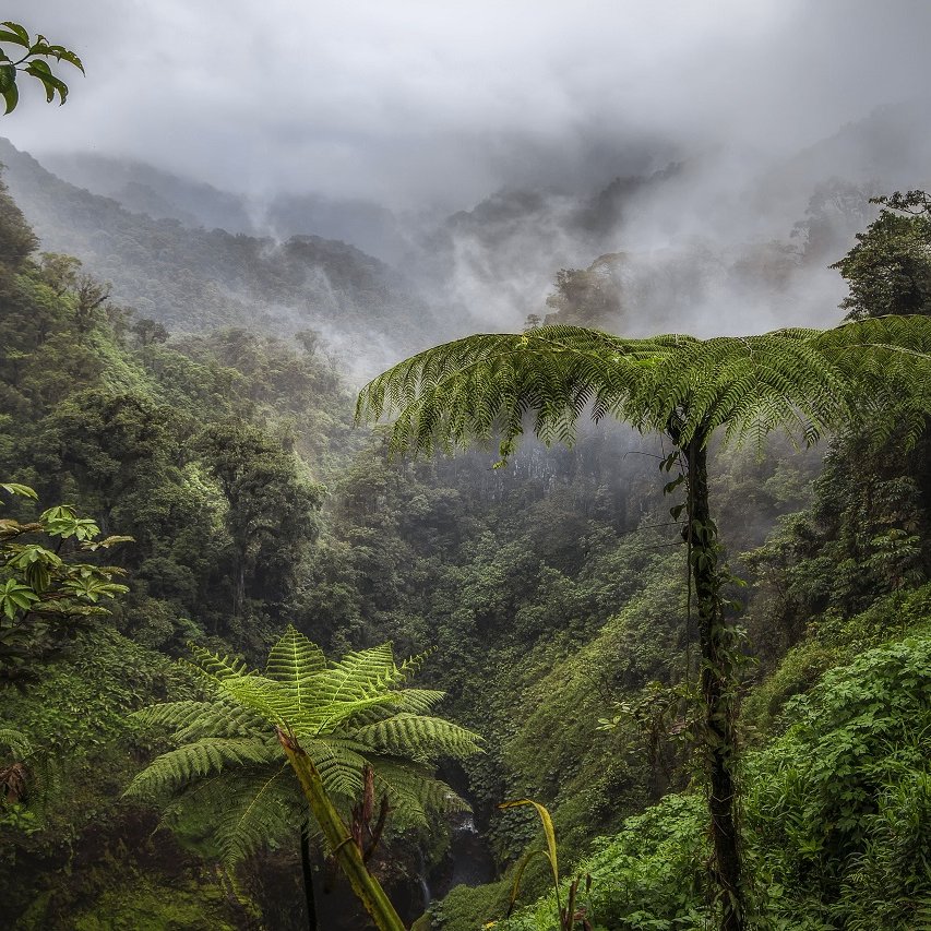 Costa Rica im Juli