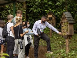 Imker zeigt einer Reisegruppe in Costa Rica seine Bienen