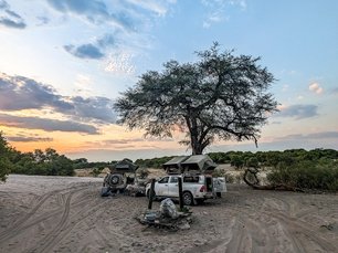 Zwei Toyota Hilux (Geländewagen) stehen unter einer Akazie. Auf ihnen sind Dachzelte aufgebaut